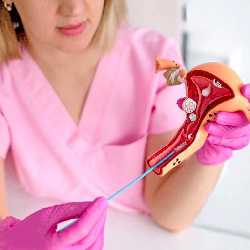 Gynecology